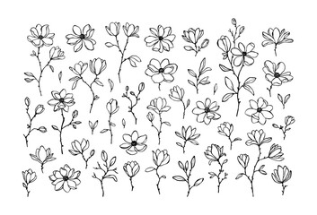 Big set of line art vector magnolia flowers, branches and buds isolated on white. Elegant hand drawn floral elements for decorative design, prints, wedding invitation. Lovely linear magnolia flowers