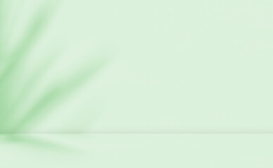 Empty green room studio with sunlight effect shadow of leaves. Minimal background for product presentation. Summer spring backdrop. Cosmetic and beauty products display room.