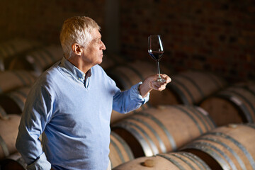 Wine cellar, thinking and senior man with glass, tasting and confidence with harvest, industry and retirement. Elderly person, pensioner and business owner with production, manufacturing and barrel