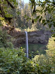 waterfall in the forest