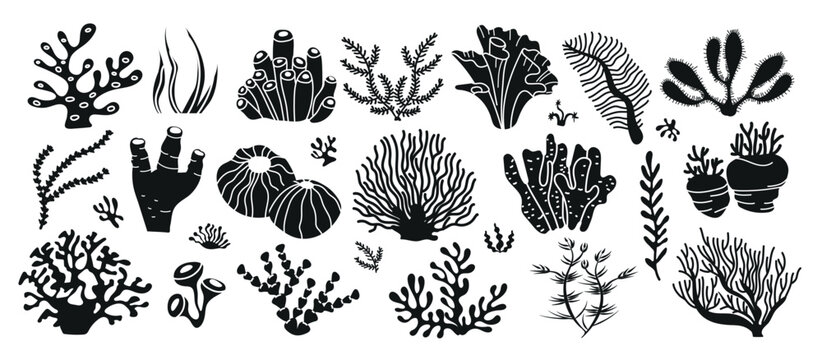 Coral set. Underwater sea coral reef and seaweeds black silhouettes. Vector set of diverse plant species found in reef ecosystems. 