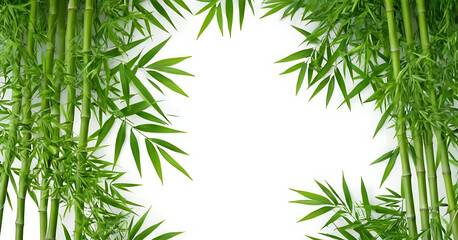 Lush green bamboo stalks and leaves frame a blank white space, ideal for showcasing text, products, or designs. Perfect for websites, invitations, or presentations with a natural, tranquil theme. AI g