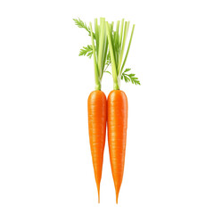 Carrots isolated cutout PNG.