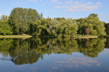 Санкт-Петербург. Московский парк Победы. Отражение в озере
Saint-Petersburg. Moscow Victory Park. Reflection in the lake