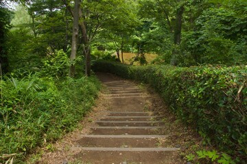 舞岡公園の景色　真夏　神奈川県戸塚区舞岡町