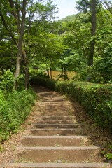 舞岡公園の景色　真夏　神奈川県戸塚区舞岡町