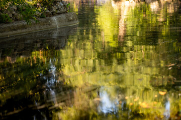 The lake&rsquo;s water stretches serenely, reflecting the surrounding trees. The calm surface creates a natural mirror, capturing the essence of tranquility and the beauty of the landscape.