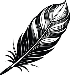 Obraz premium -feather (2).eps