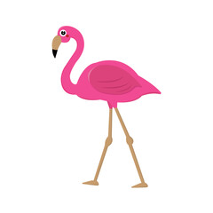 vector pink flamingo isolated on white background. mascot character illustration.