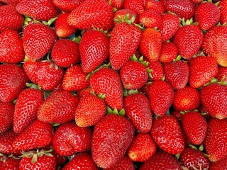 Fresh, organic and ripen strawberries displayed in farmer's market