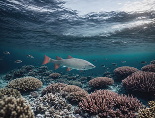 Fototapeta premium Beneath Ocean Waves Schools of Fish Swim Above Vibrant Coral Reefs in Clear Waters