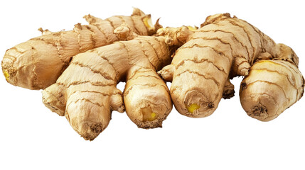 Ginger transparent background