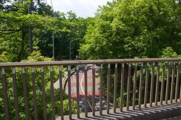 舞岡公園の景色　真夏　神奈川県戸塚区舞岡町