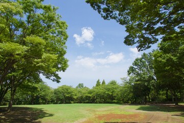 舞岡公園の景色　真夏　神奈川県戸塚区舞岡町