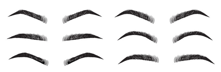 Eyebrow shapes. Various types of eyebrows. Classic type and other. Trimming. Vector illustration with different thickness of brows. Makeup tips