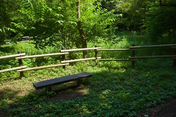 舞岡公園の景色　真夏　神奈川県戸塚区舞岡町