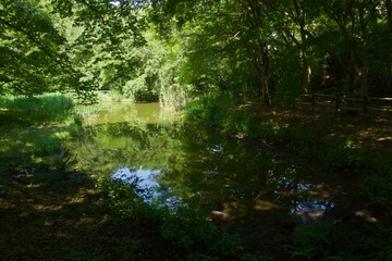 舞岡公園の景色　真夏　神奈川県戸塚区舞岡町