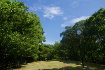 舞岡公園の景色　真夏　神奈川県戸塚区舞岡町