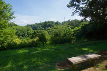 舞岡公園の景色　真夏　神奈川県戸塚区舞岡町