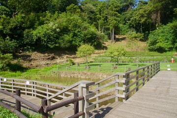 夏の小菅ケ谷北公園　バーベキューサイト