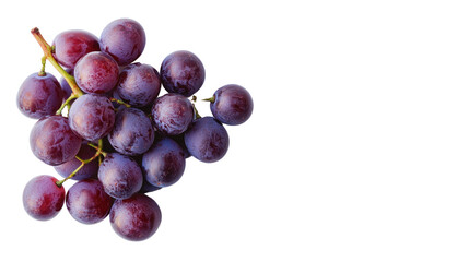 Fototapeta premium Grape transparent background