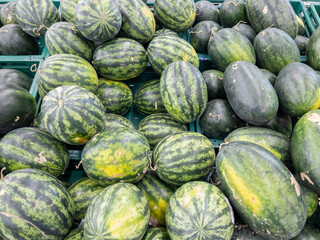 The sweet watermelons pile from organic farms.