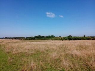 Fototapeta premium A large spacious grassy meadow near a picturesque village in summer on a fine sunny day.