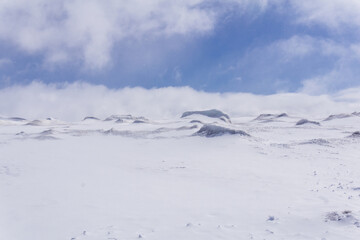 highland snowy plateau, lifeless snowy landscape with hummocks