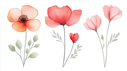 Naklejka premium set of watercolor flower