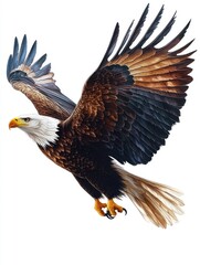 Fototapeta premium Majestic Eagle in Flight