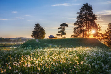 Fototapete bei efototapeten.de bestellen   