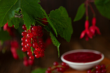 Fresh red currants berries on the Traditional homemade Cumberland sauce background