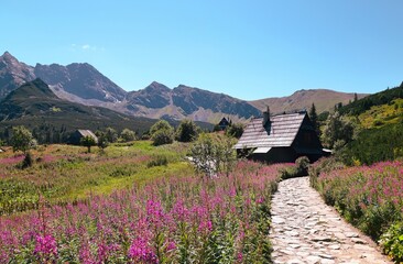 Hala Gąsienicowa - góry Tatry