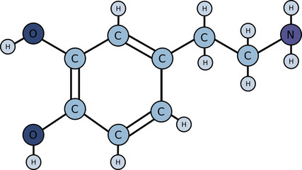 Dopamine Molecular Structure,
neurotransmitter hormone,
C8H11N02, Flat 2D illustration
