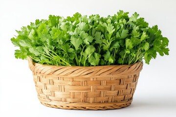 Naklejka premium A crisp display of vibrant green lettuce leaves arranged in a natural woven basket, showcasing their freshness and texture.