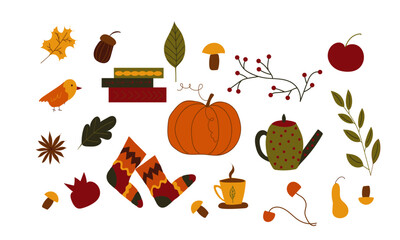 autumn elements, fall set illustration