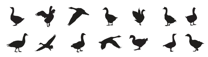 silhouette of Goose 
