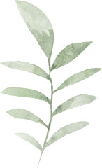 Watercolor green leaf