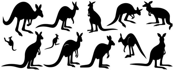 Set silhouettes of kangaroo, different poses, black color, isolated on white background Vector illustrations