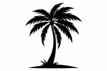 A palm tree silhouette vector illustration