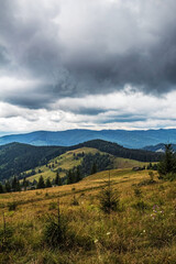 Landscapes - Forest - Europe, Romania, Suceava region