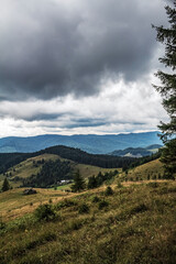 Landscapes - Forest - Europe, Romania, Suceava region