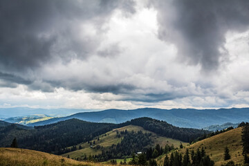 Landscapes - Forest - Europe, Romania, Suceava region