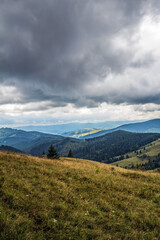 Landscapes - Forest - Europe, Romania, Suceava region
