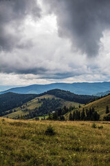 Landscapes - Forest - Europe, Romania, Suceava region