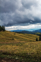 Landscapes - Forest - Europe, Romania, Suceava region