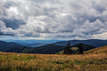 Landscapes - Forest - Europe, Romania, Suceava region