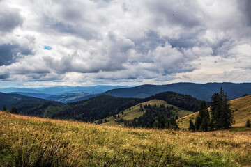 Landscapes - Forest - Europe, Romania, Suceava region