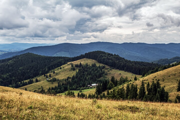 Fototapeta premium Landscapes - Forest - Europe, Romania, Suceava region