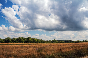 Obraz premium Landscapes - Forest - Europe, Romania, Suceava region